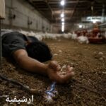 مصرع شاب في واقعة صعق كهربائي بمزرعة دواجن في الفيوم