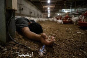 مصرع شاب في واقعة صعق كهربائي بمزرعة دواجن في الفيوم